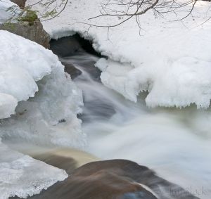 04  CR506--Bicknell-Brook--pan.jpg